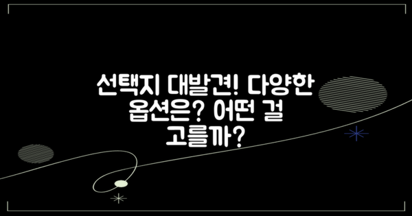 어떤 선택지가 있을까?